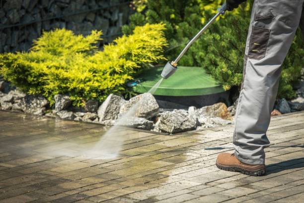Best Factory Floor Cleaning  in Vamo, FL