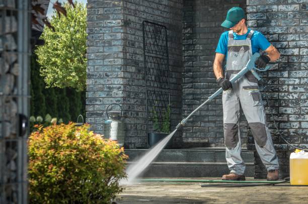 Best Building Exterior Washing  in Vamo, FL