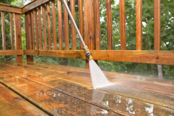 Professional Pressure Washing in Vamo, FL
